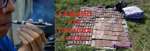 гидра Арсеньев