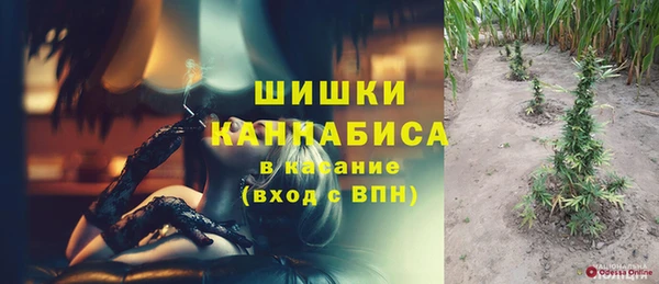 гидра Арсеньев