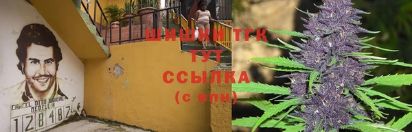 гидра Арсеньев