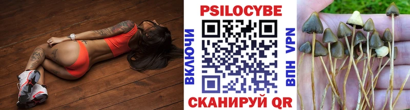 хочу   Озёры  Псилоцибиновые грибы мухоморы 
